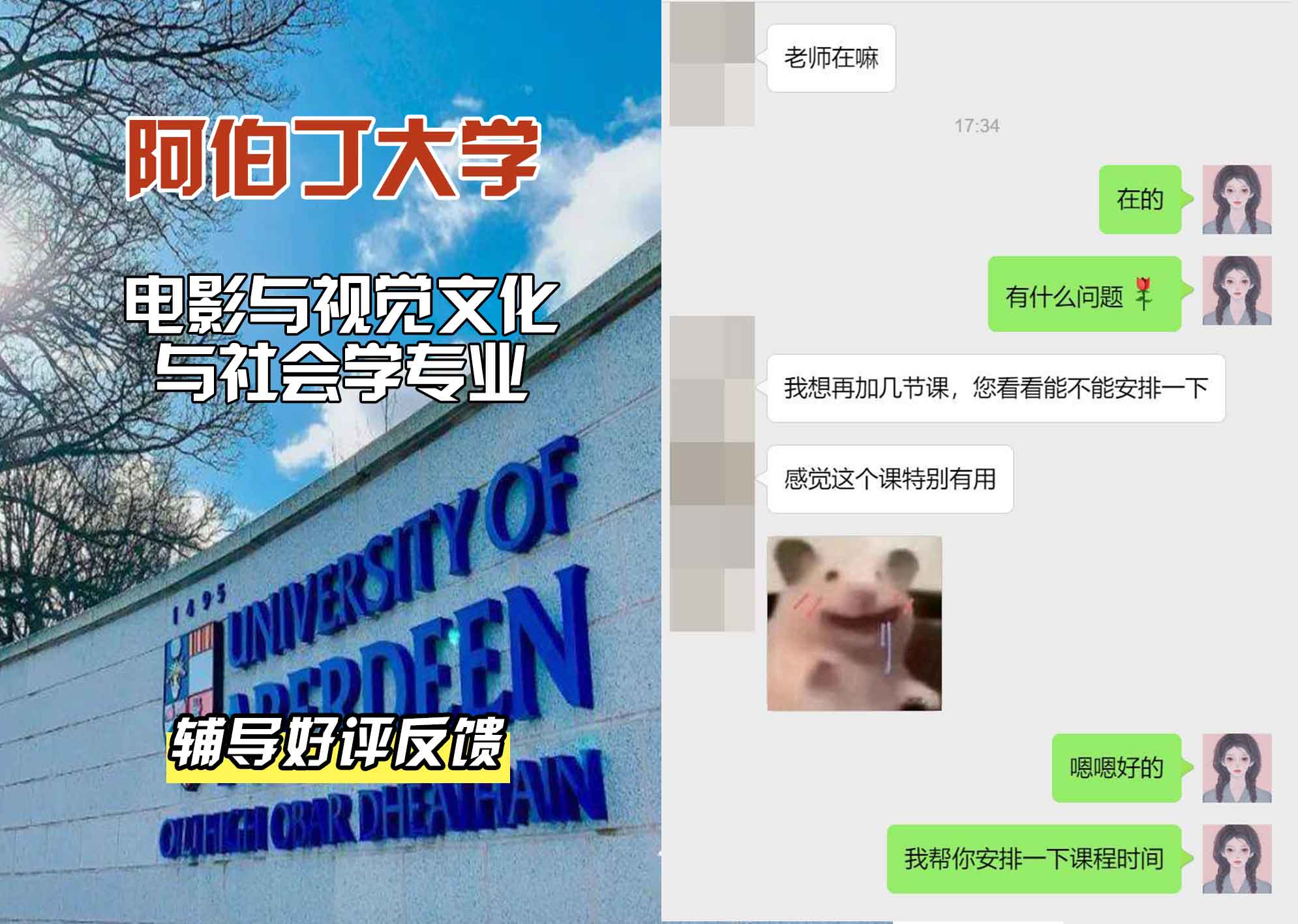 阿伯丁大学ABDN电影与视觉文化与社会学辅导好评反馈