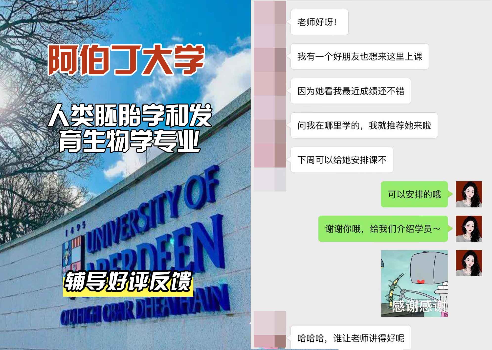 阿伯丁大学ABDN人类胚胎学和发育生物学辅导好评反馈