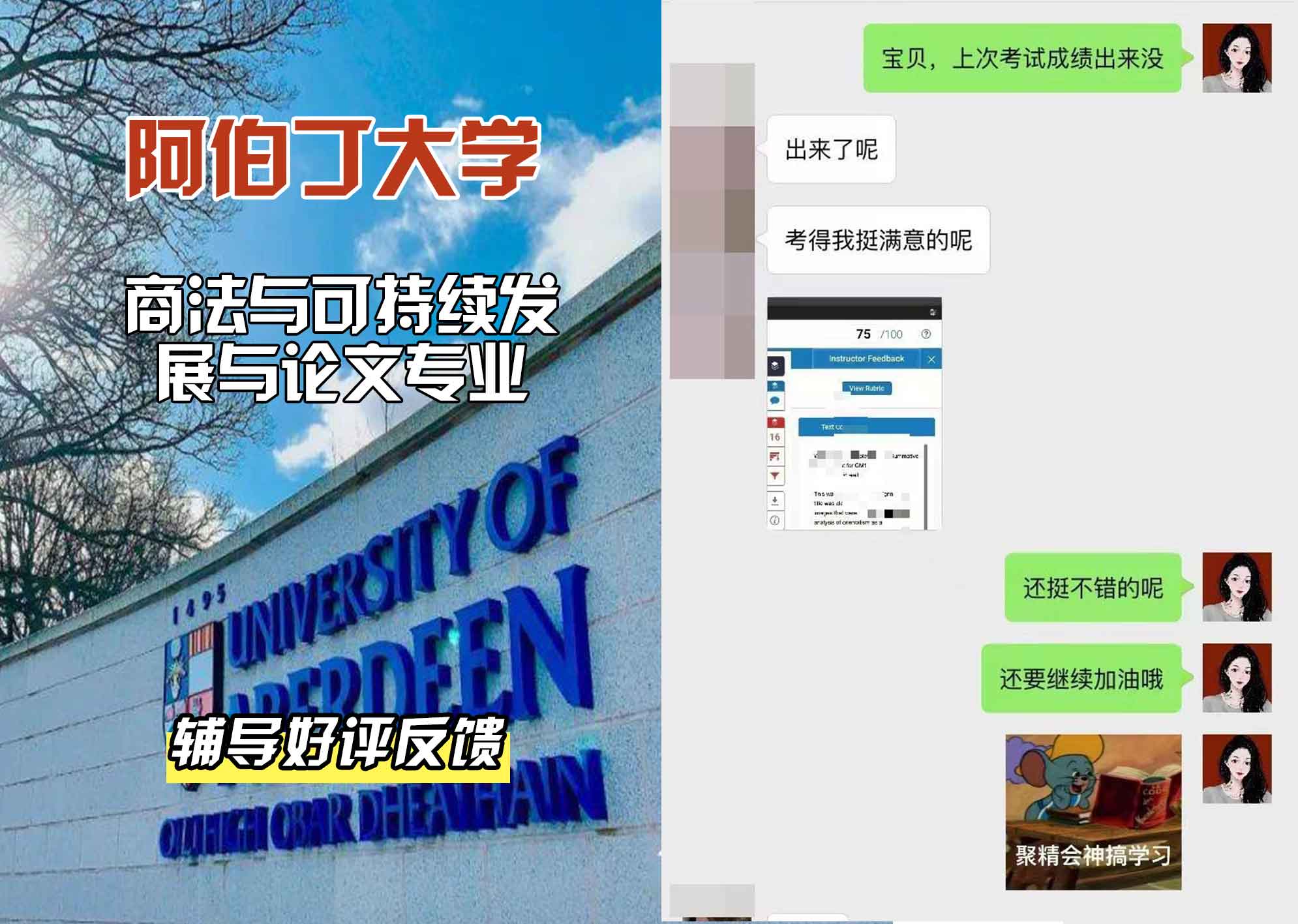 阿伯丁大学ABDN商法与可持续发展与论文辅导好评反馈
