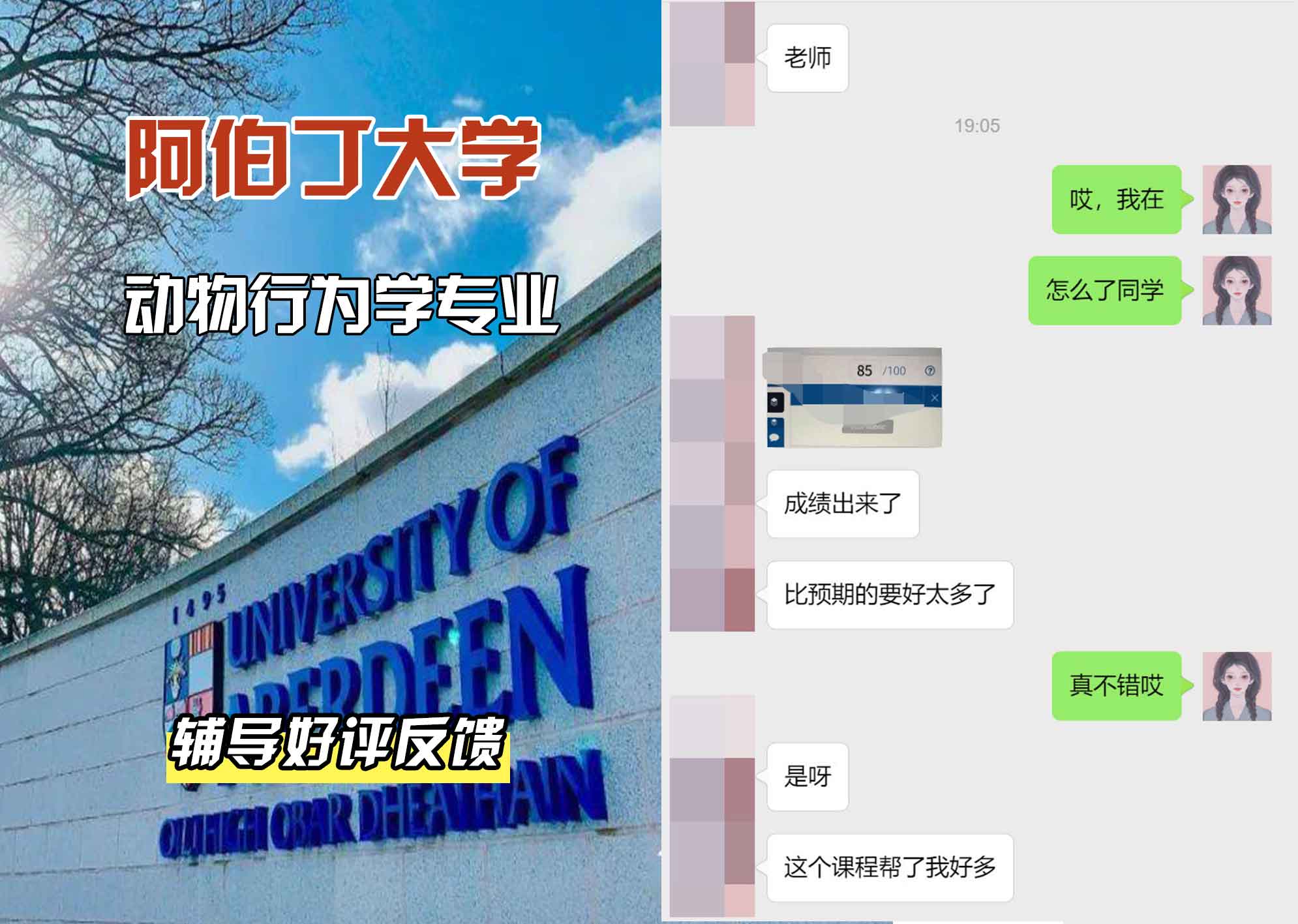阿伯丁大学ABDN动物行为学辅导好评反馈