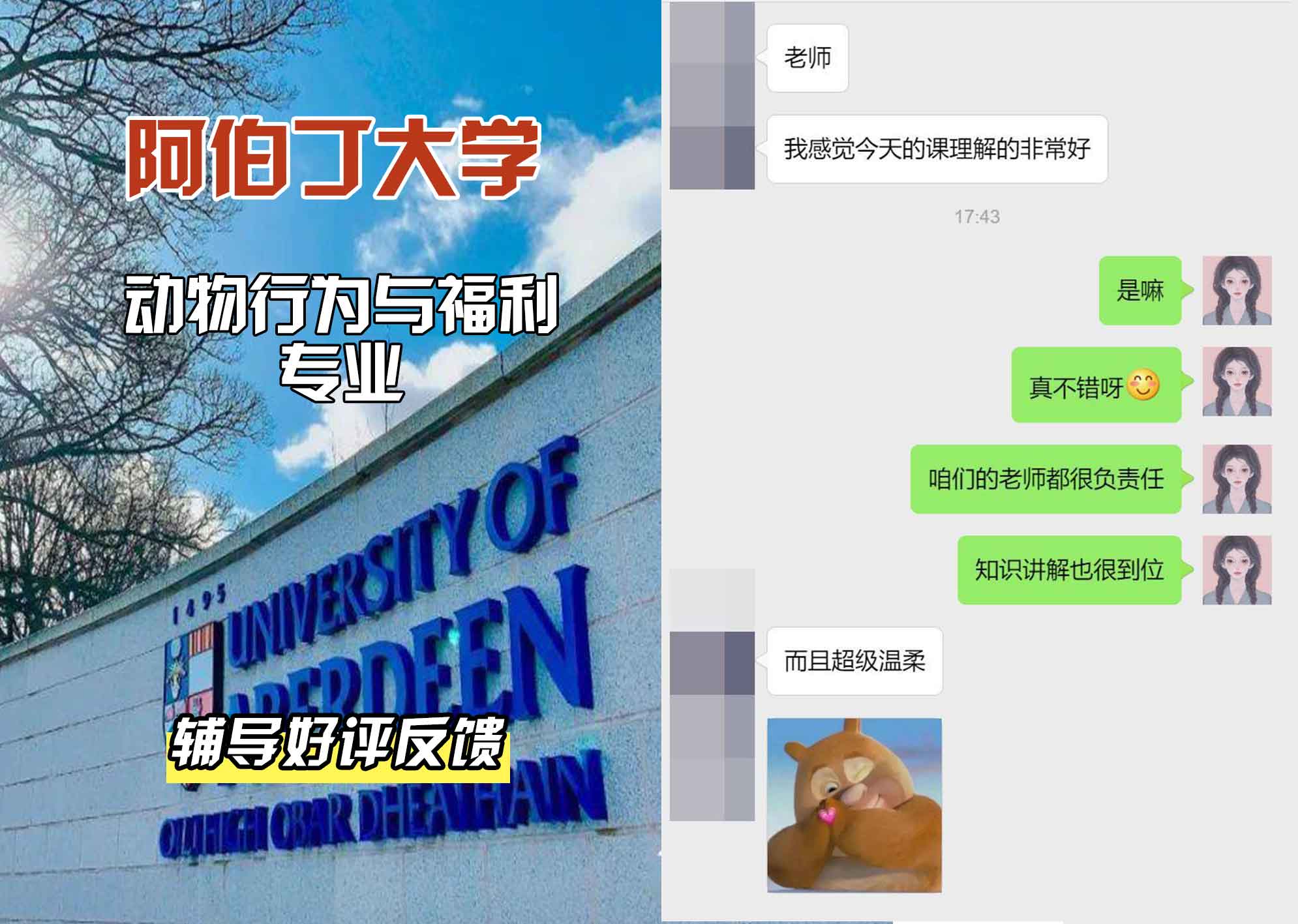 阿伯丁大学ABDN动物行为与福利辅导好评反馈