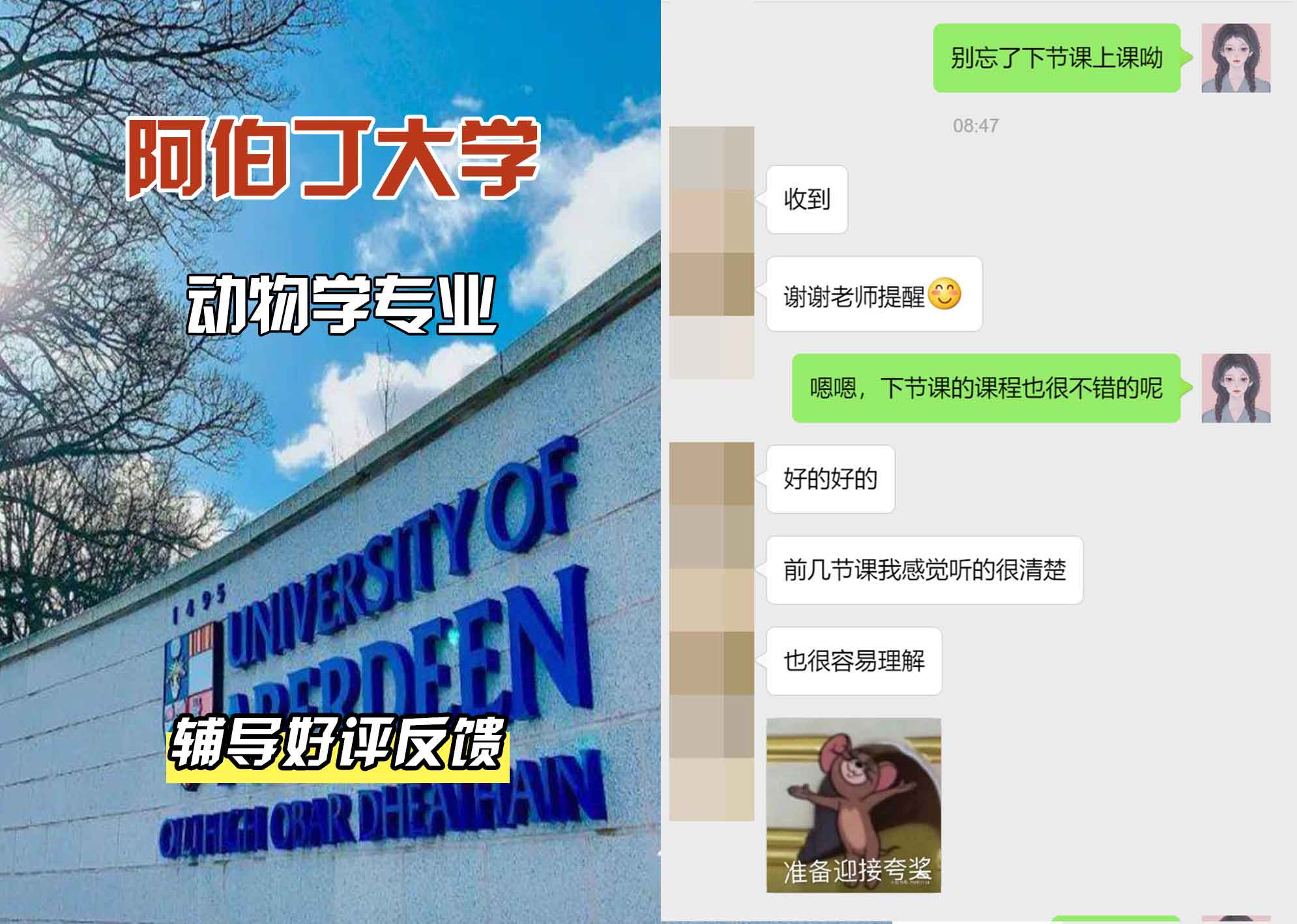 阿伯丁大学ABDN动物学辅导好评反馈