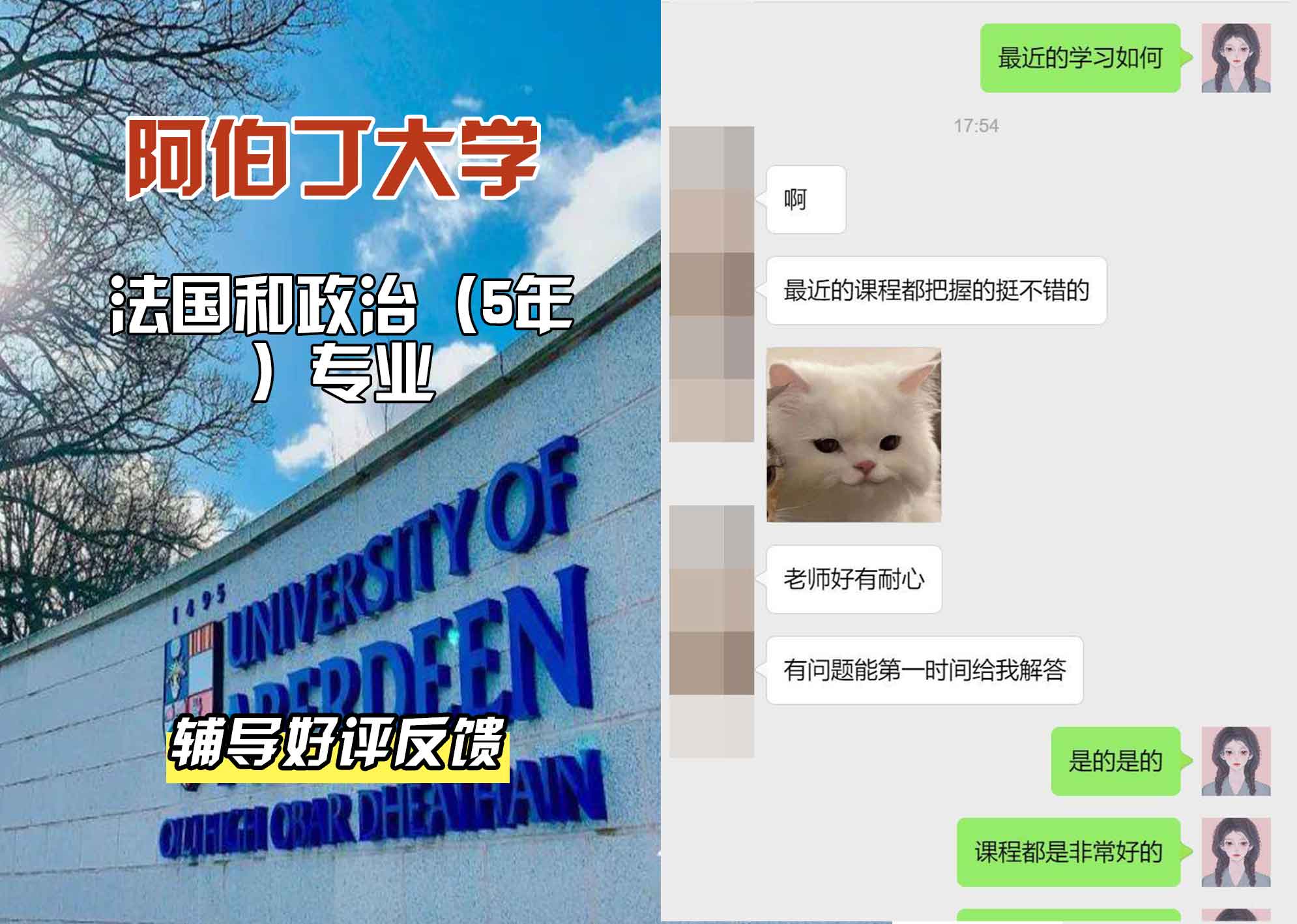 阿伯丁大学ABDN法国和政治（5年）辅导好评反馈