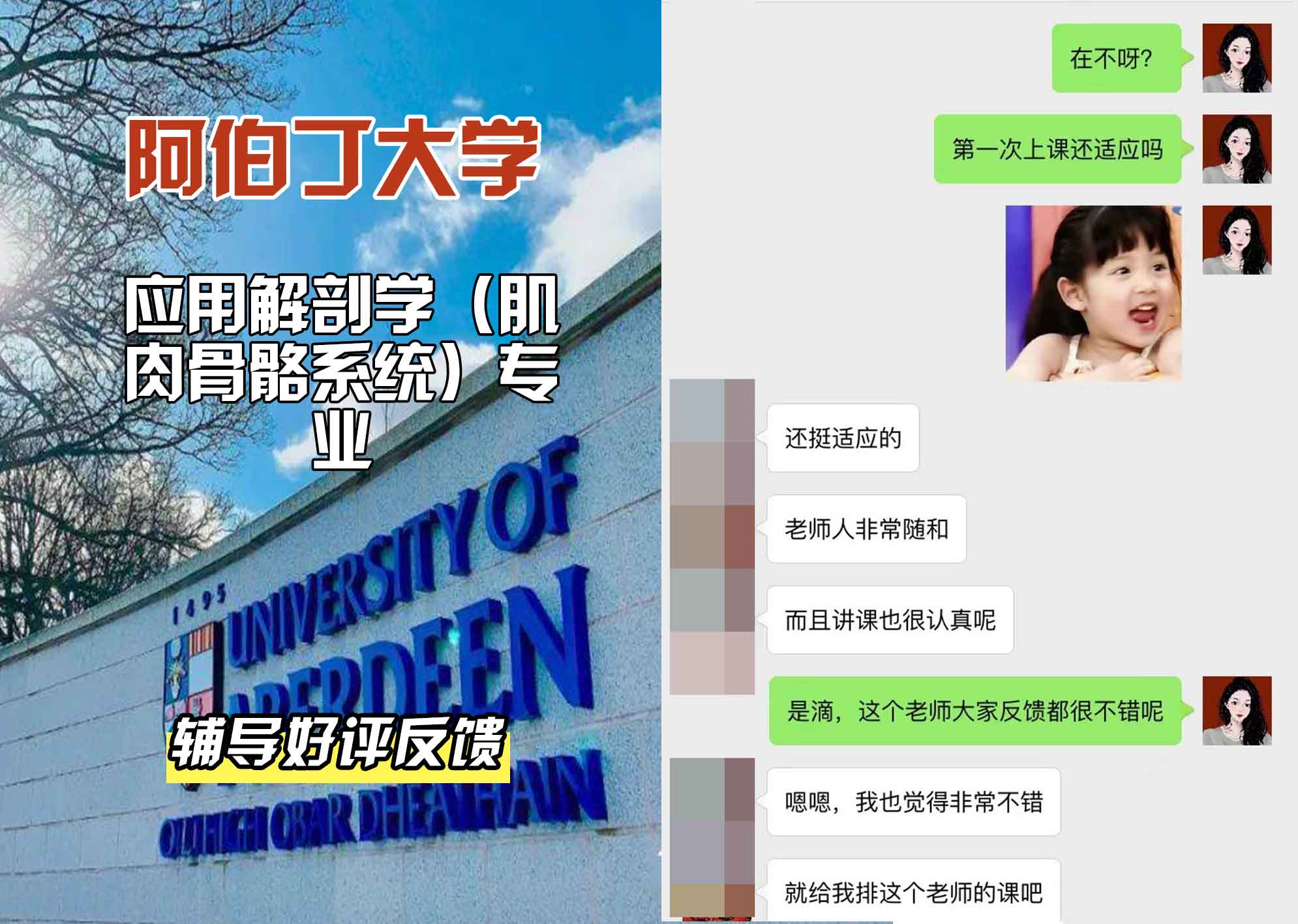 阿伯丁大学ABDN应用解剖学(肌肉骨骼系统)辅导好评反馈