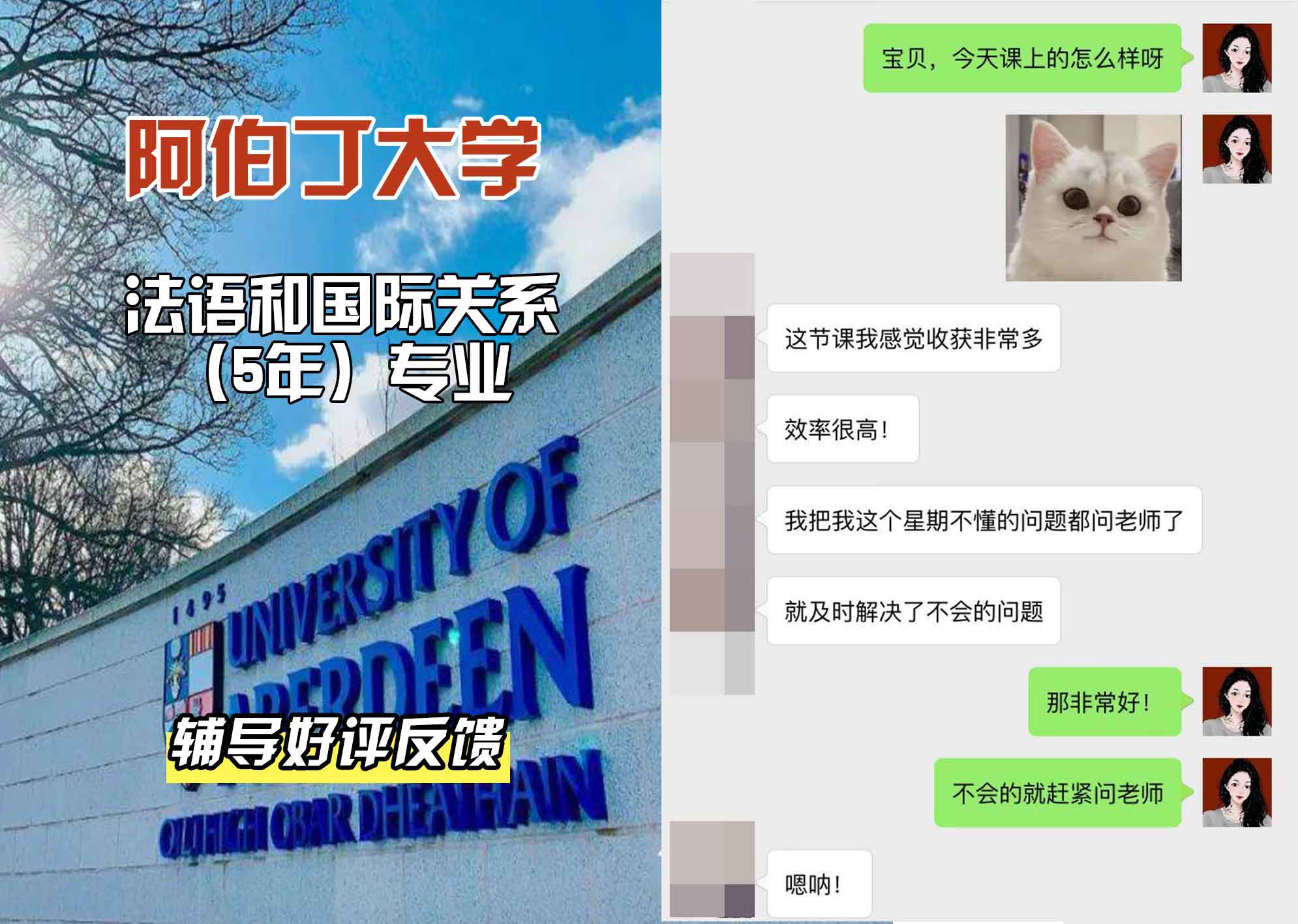 阿伯丁大学ABDN法语和国际关系（5年）辅导好评反馈
