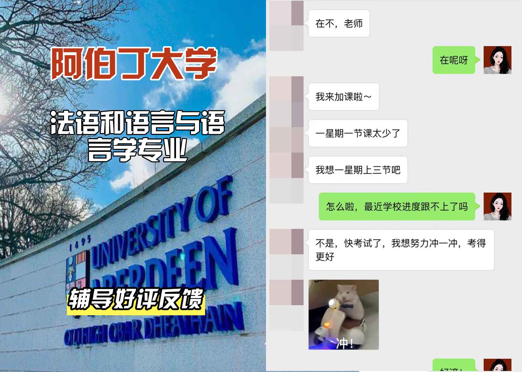 阿伯丁大学ABDN法语和语言与语言学辅导好评反馈