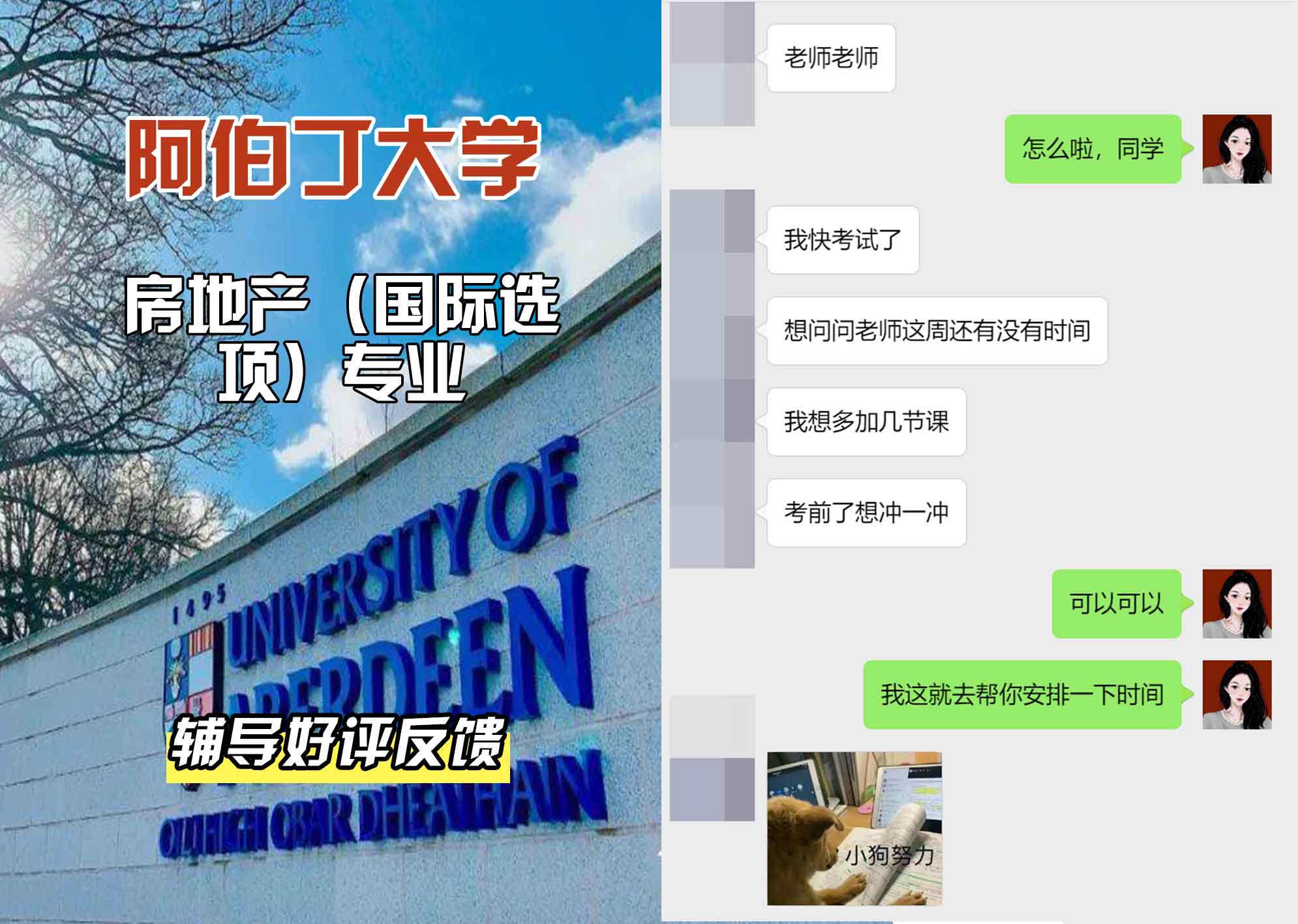 阿伯丁大学ABDN房地产（国际选项）辅导好评反馈