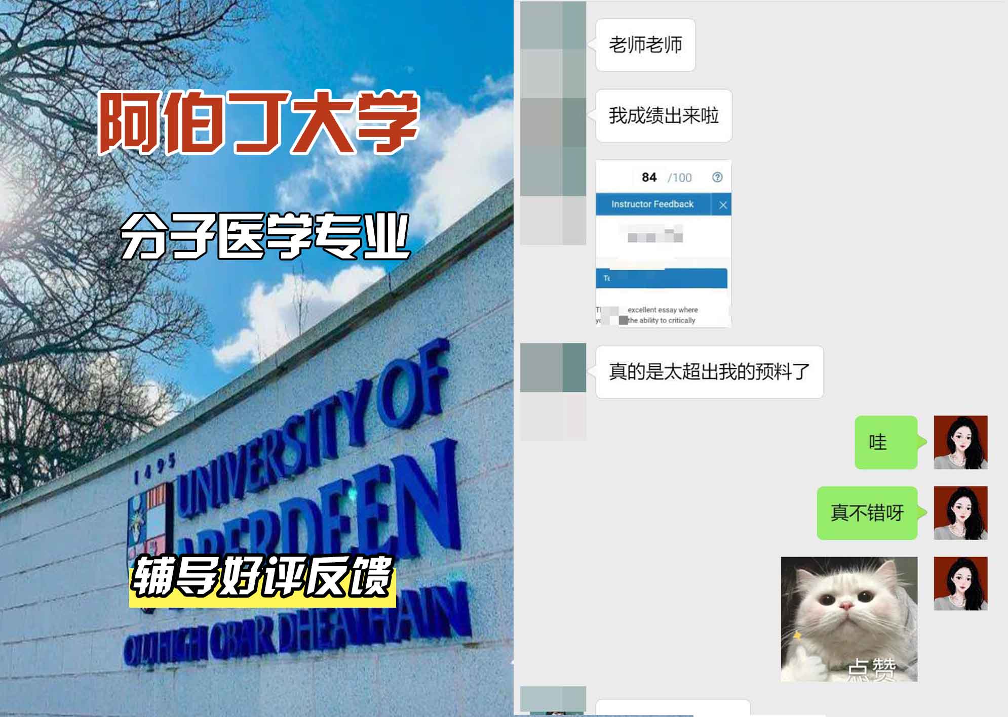 阿伯丁大学ABDN分子医学辅导好评反馈