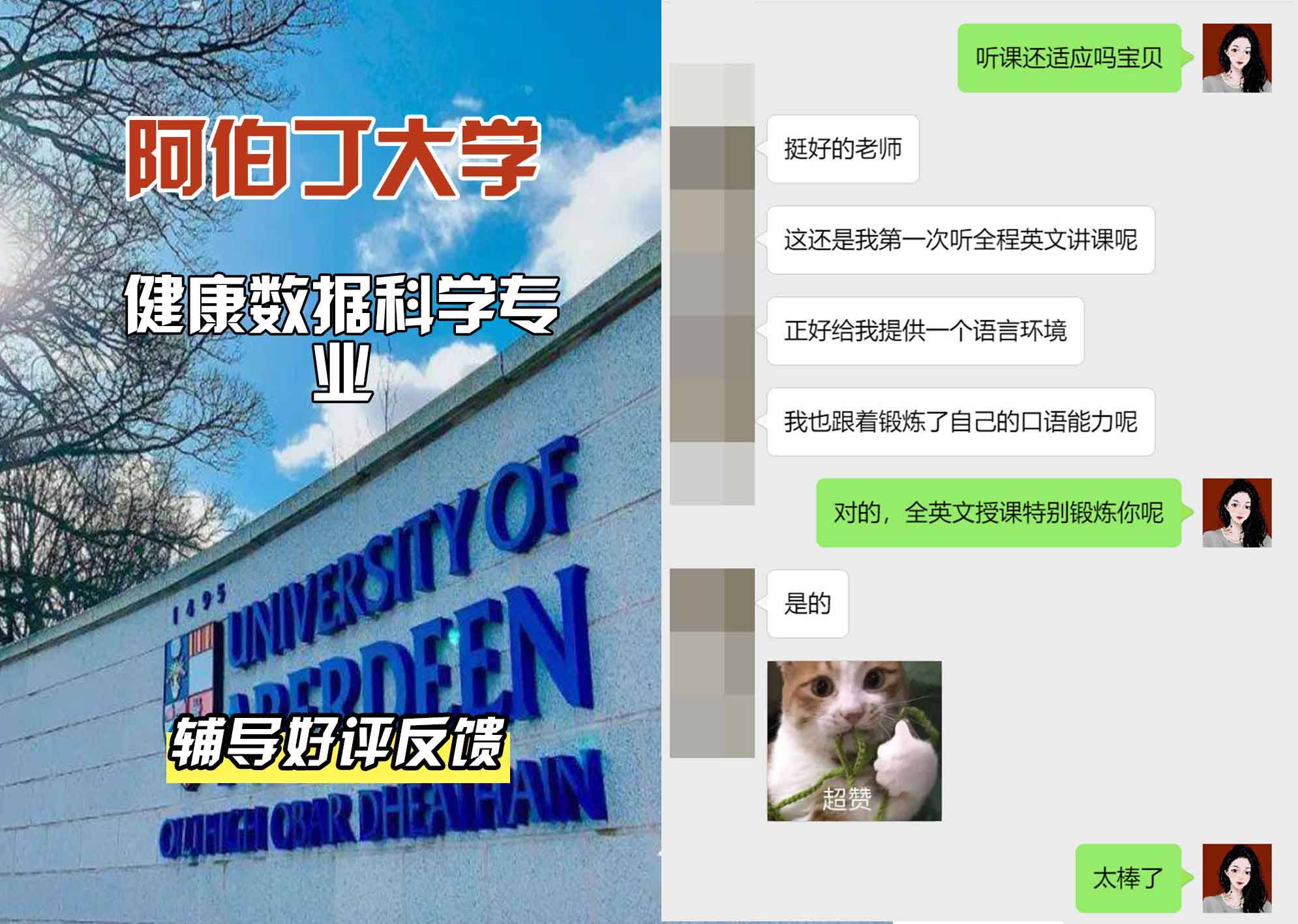 阿伯丁大学ABDN健康数据科学辅导好评反馈