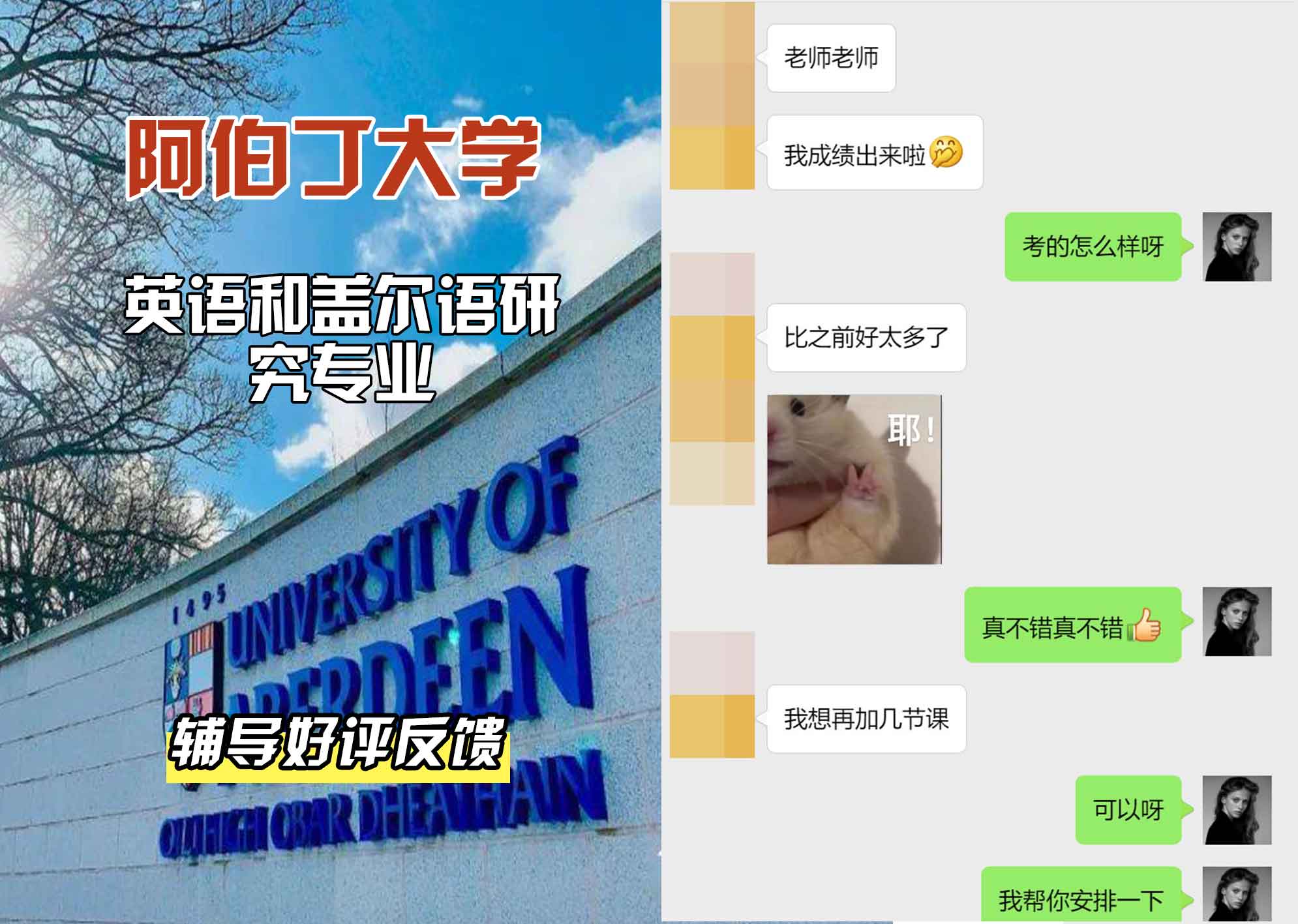 阿伯丁大学ABDN英语和盖尔语研究辅导好评反馈