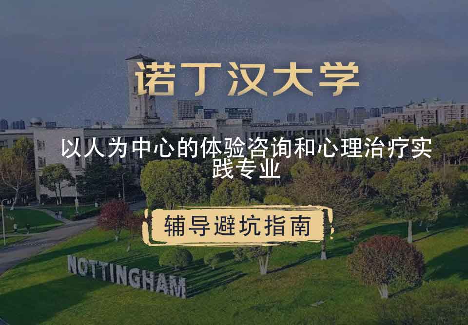 诺丁汉大学诺大以人为本的体验式咨询和心理治疗实践辅导避坑指南