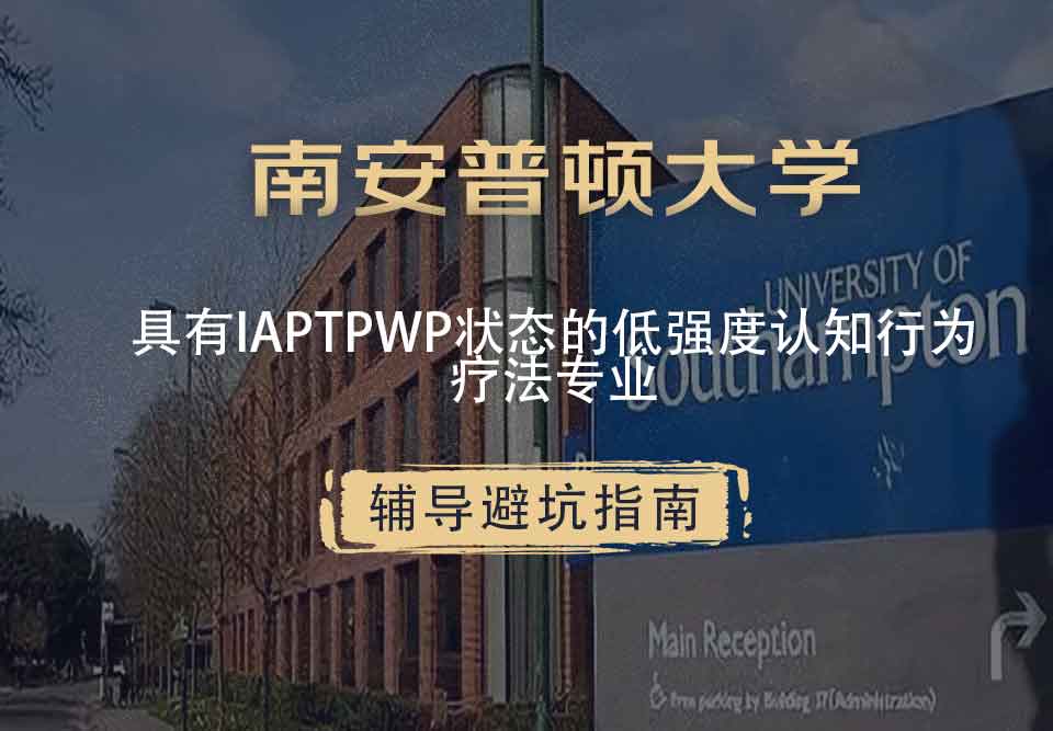 南安普顿大学南安状态的低强度认知行为疗法辅导避坑指南