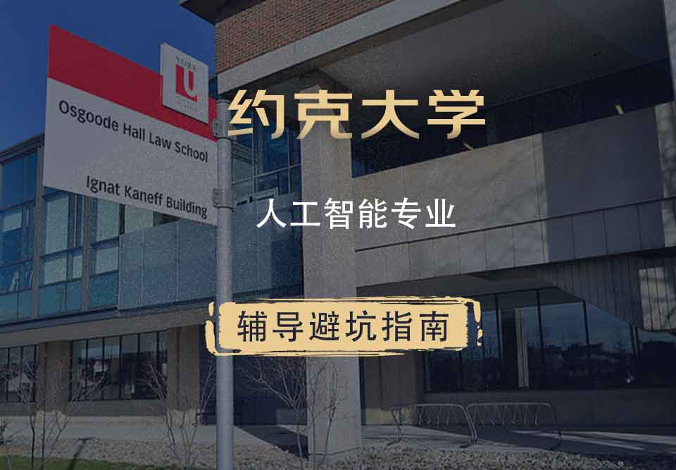 约克大学UOY人工智能辅导避坑指南