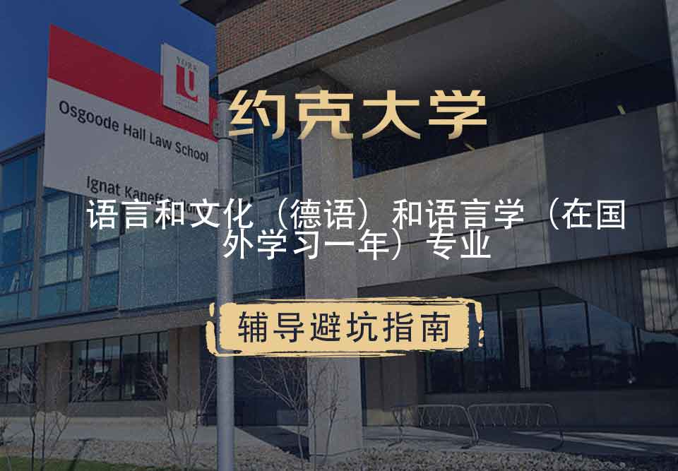 约克大学UOY语言和文化（德语）和语言学（在国外学习一年）辅导避坑指南