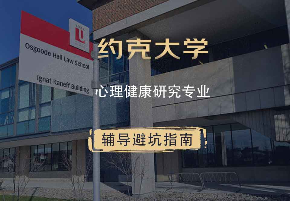约克大学UOY心理健康研究辅导避坑指南