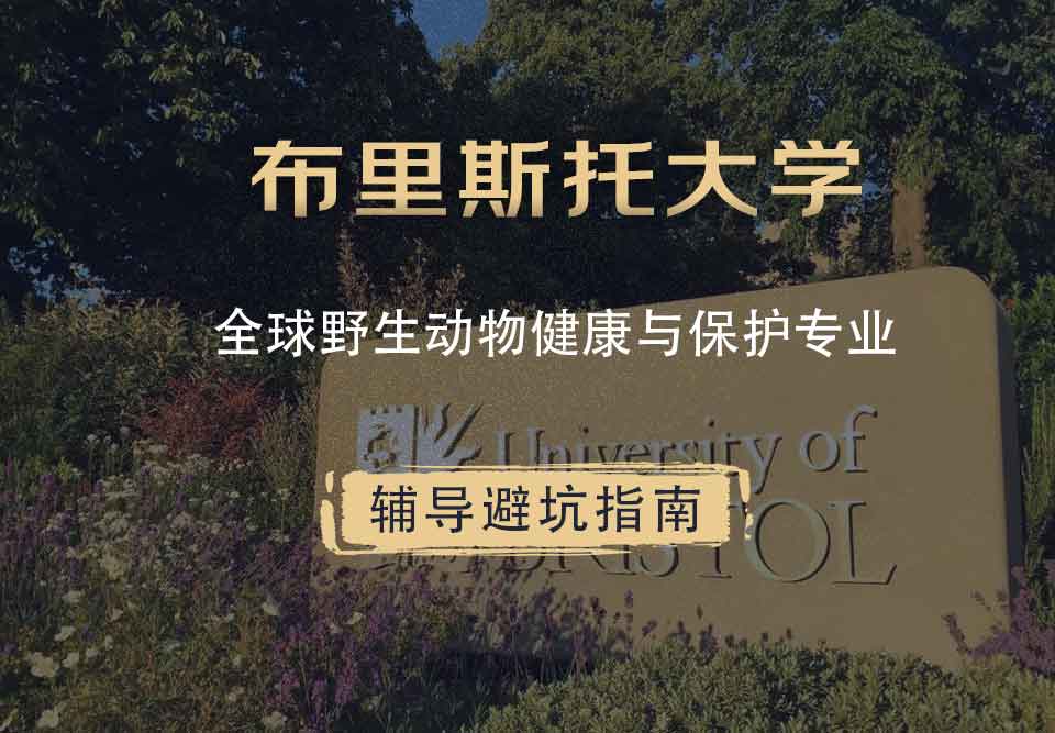 布里斯托大学布大全球野生动物健康与保护辅导避坑指南