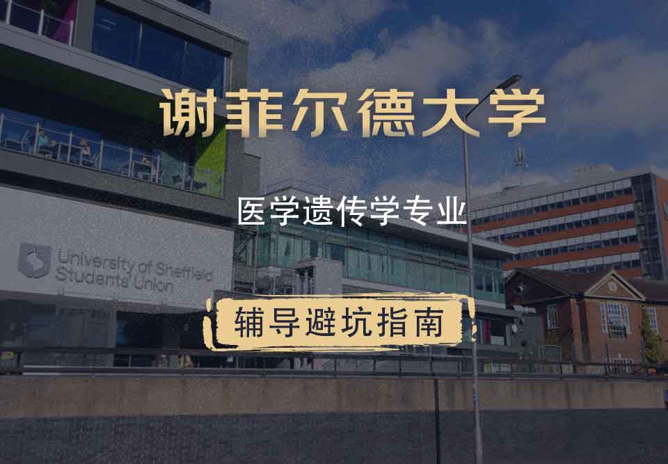 谢菲尔德大学谢大医学遗传学辅导避坑指南