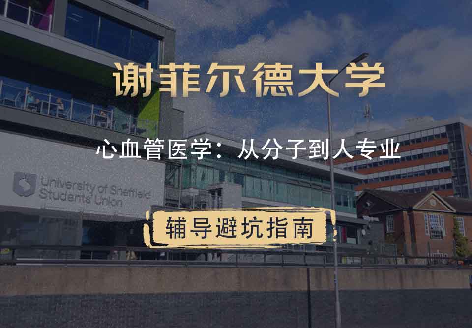谢菲尔德大学谢大心血管医学：从分子到人：从分子到人辅导避坑指南