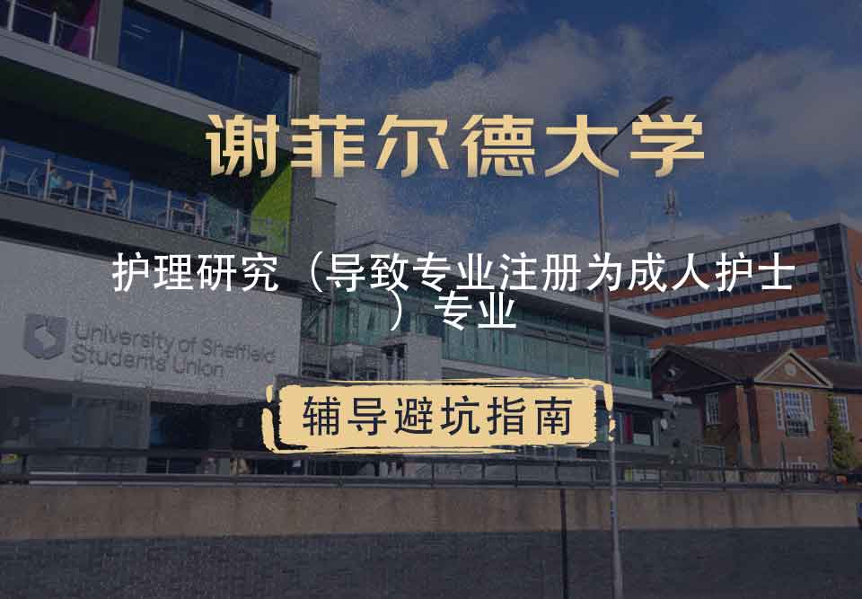 谢菲尔德大学谢大护理研究（导致专业注册为成人护士）辅导避坑指南