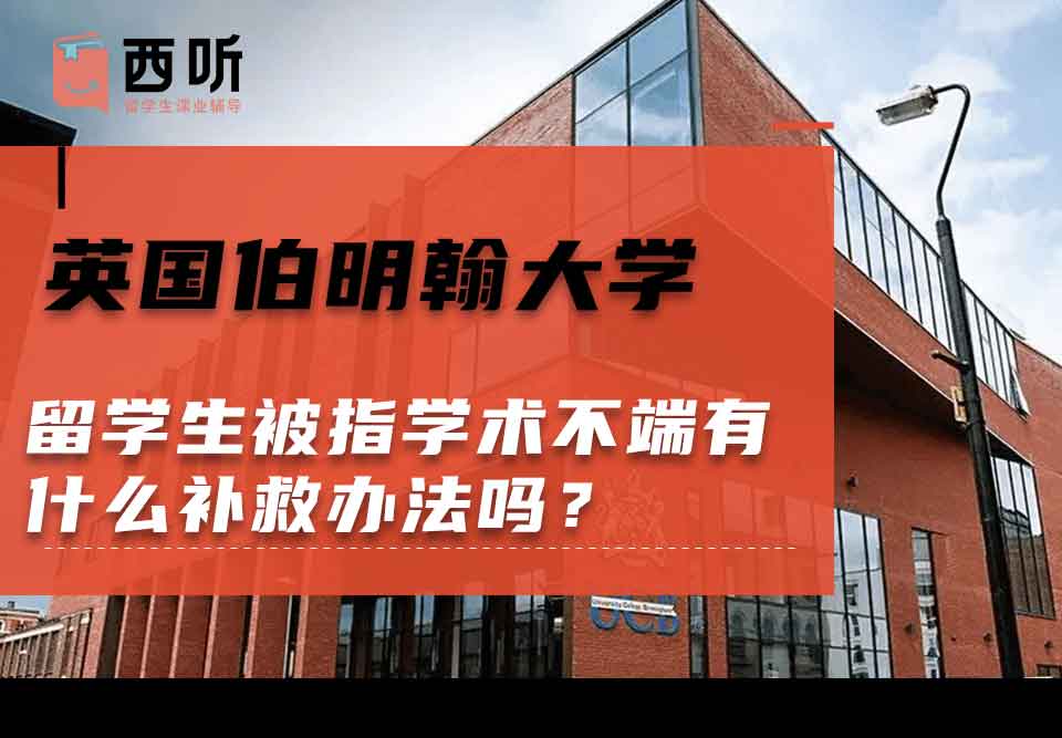英国伯明翰大学留学生被指学术不端有什么补救办法吗？