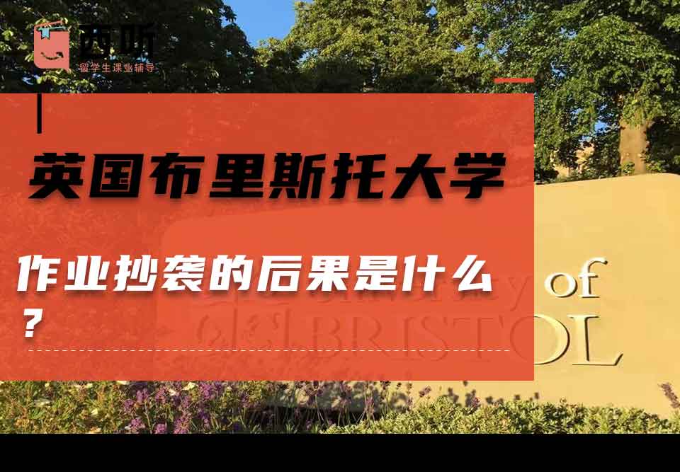 英国布里斯托大学作业抄袭的后果是什么？