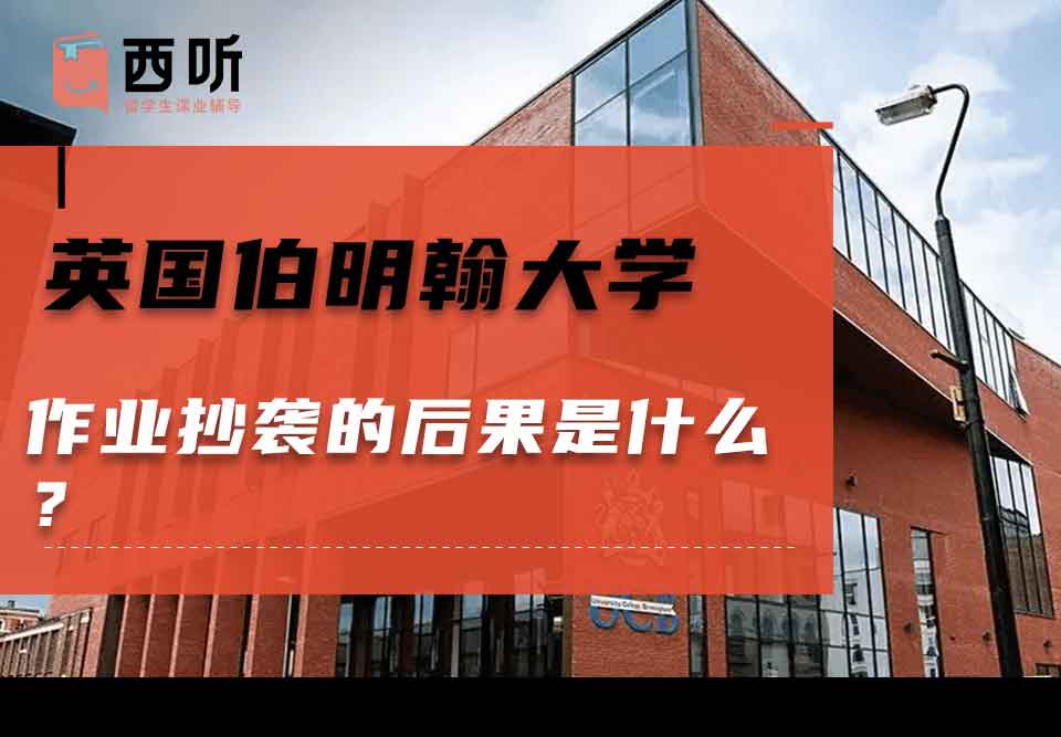 英国伯明翰大学作业抄袭的后果是什么？