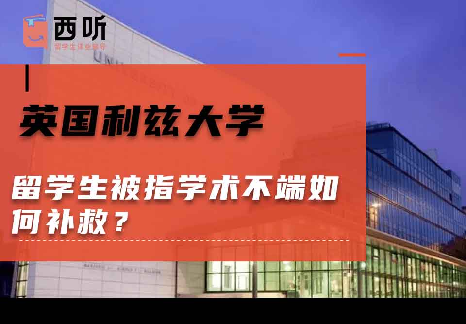 英国利兹大学留学生被指学术不端如何补救？