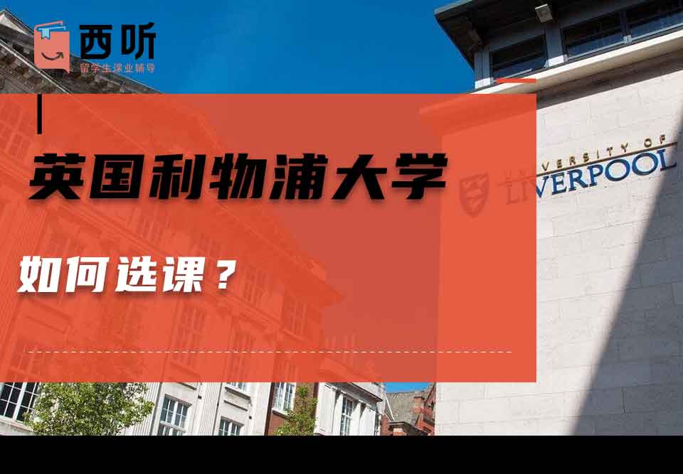 英国利物浦大学如何选课？