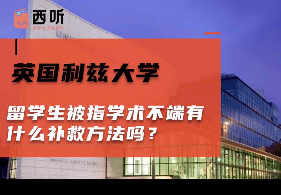 英国利兹大学留学生被指学术不端有什么补救方法吗？