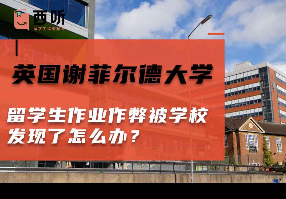 英国谢菲尔德大学留学生作业作弊被学校发现了怎么办？