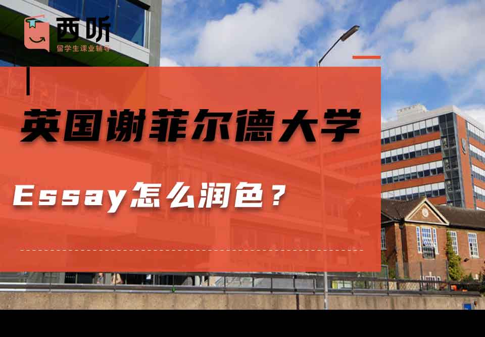 英国谢菲尔德大学Essay怎么润色？