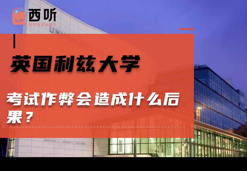 英国利兹大学考试作弊会造成什么后果？