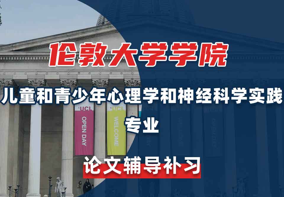 伦敦大学学院UCL儿童和青少年心理学和神经科学实践论文辅导补习