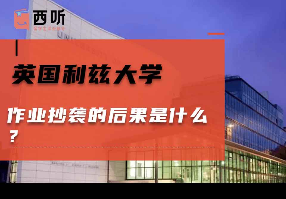 英国利兹大学作业抄袭的后果是什么？