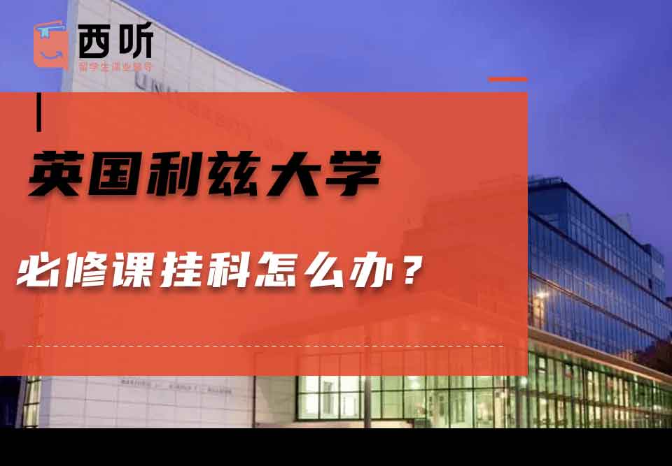 英国利兹大学必修课挂科怎么办？