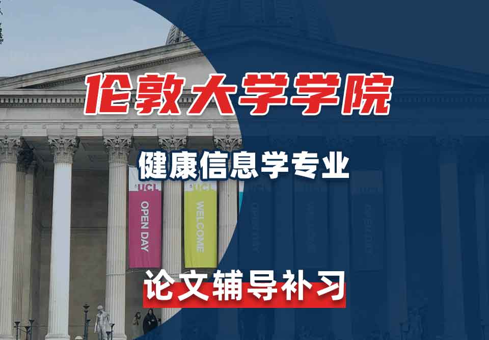 伦敦大学学院UCL健康信息学论文辅导补习