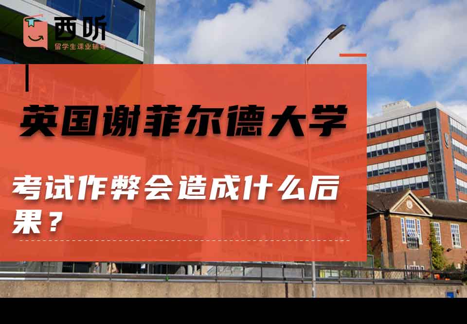 英国谢菲尔德大学考试作弊会造成什么后果?