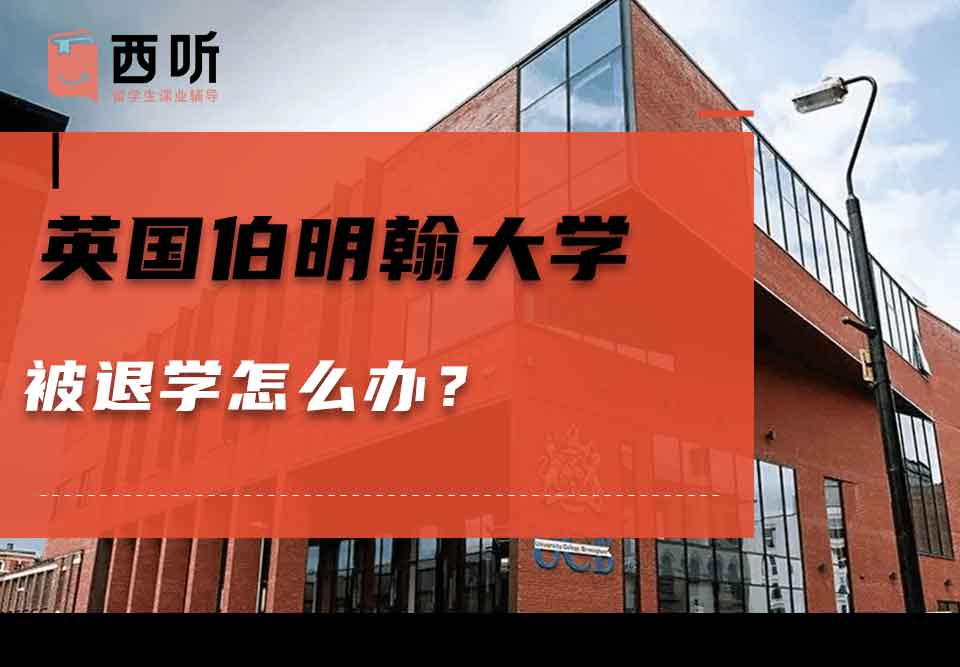 英国伯明翰大学被退学怎么办?