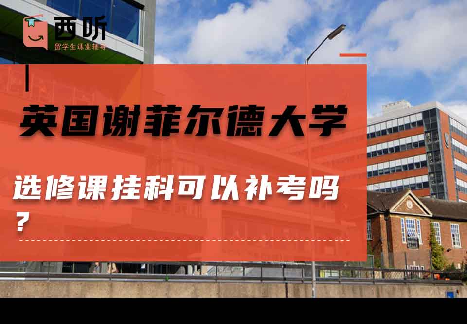 英国谢菲尔德大学选修课挂科可以补考吗?