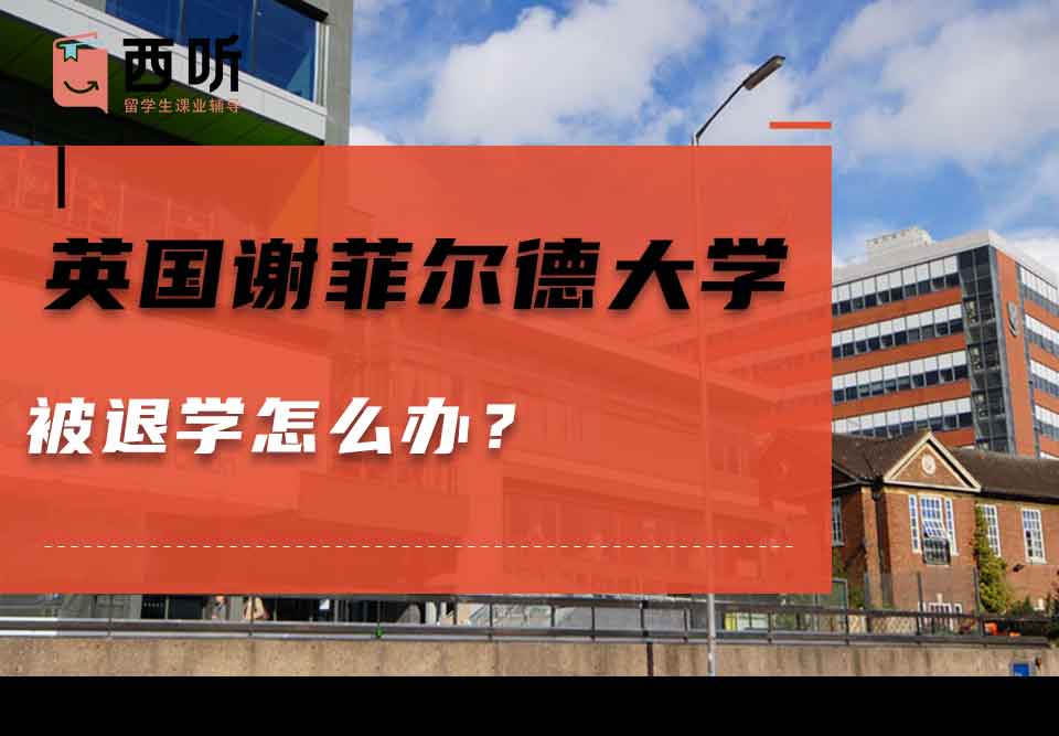 英国谢菲尔德大学被退学怎么办？