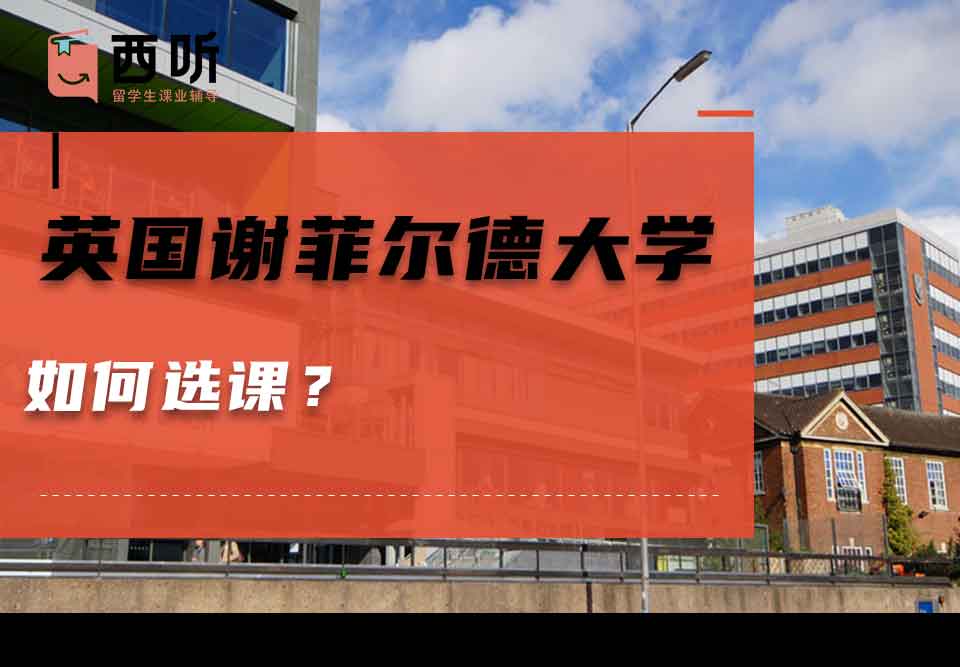 英国谢菲尔德大学如何选课？