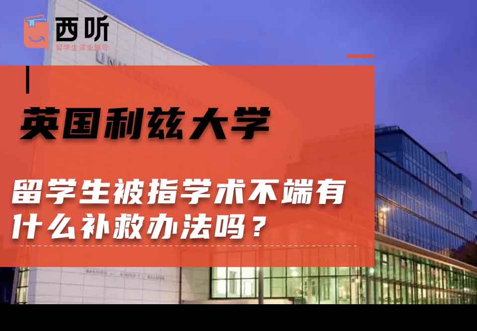 英国利兹大学留学生被指学术不端有什么补救办法吗？