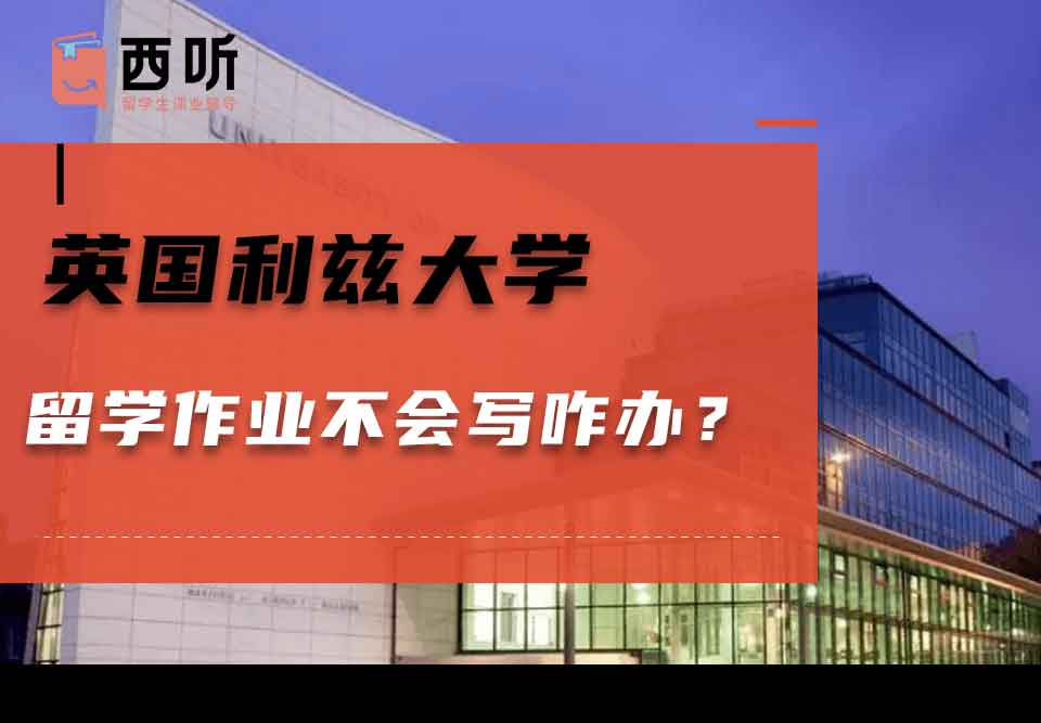 英国利兹大学留学作业不会写咋办?