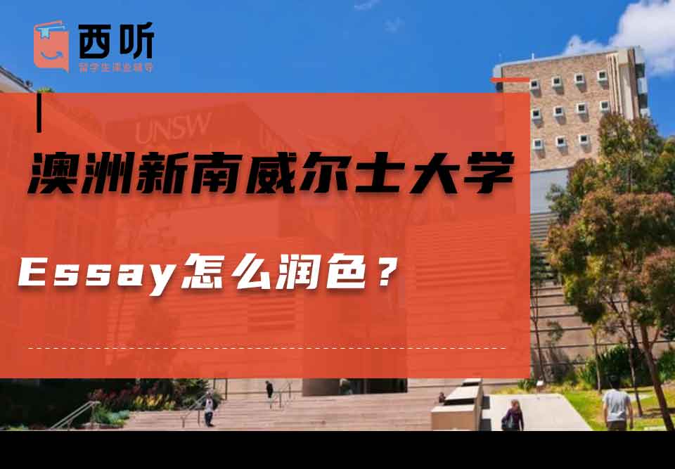 澳洲新南威尔士大学Essay怎么润色？
