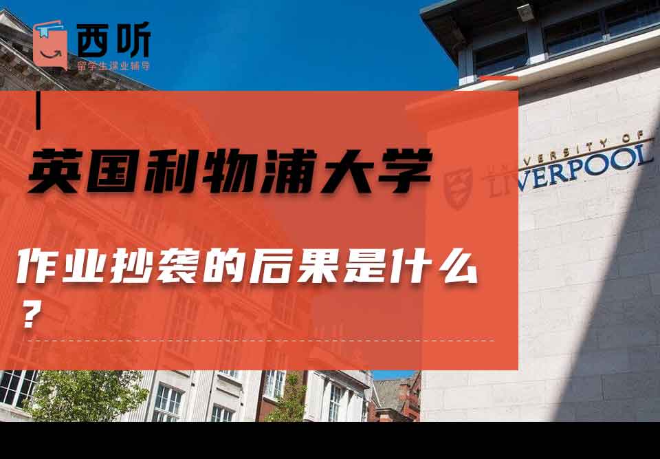 英国利物浦大学作业抄袭的后果是什么？