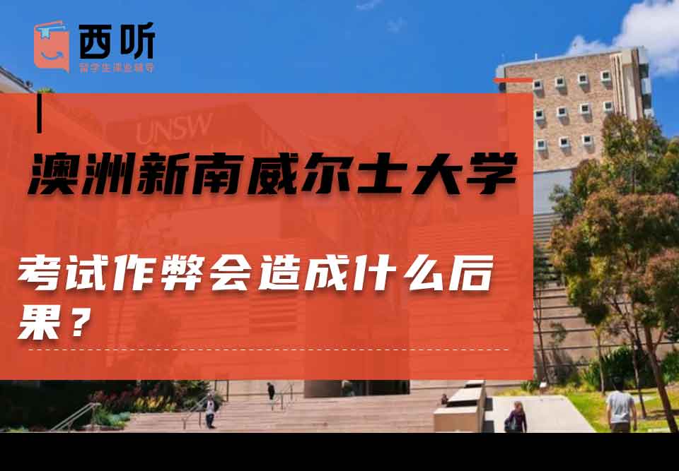 澳洲新南威尔士大学考试作弊会造成什么后果？