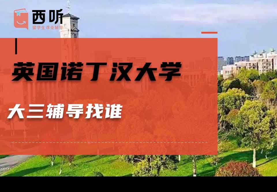 英国诺丁汉大学大三辅导找谁