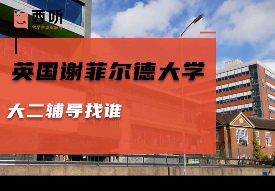 英国谢菲尔德大学大二辅导找谁