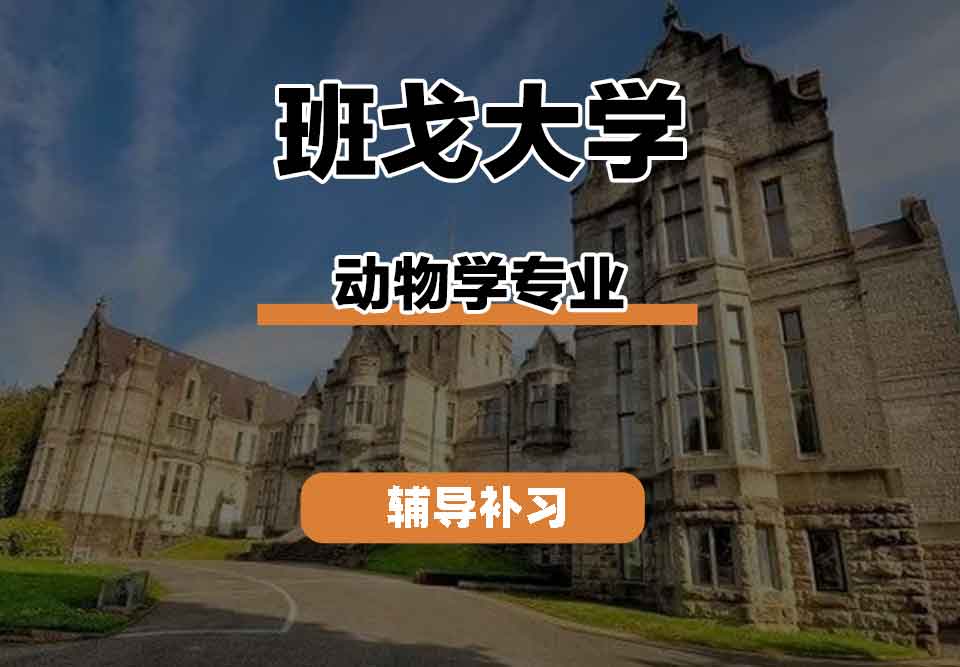 留学生学术辅导丨Bangor动物学专业的就业前景怎么样？