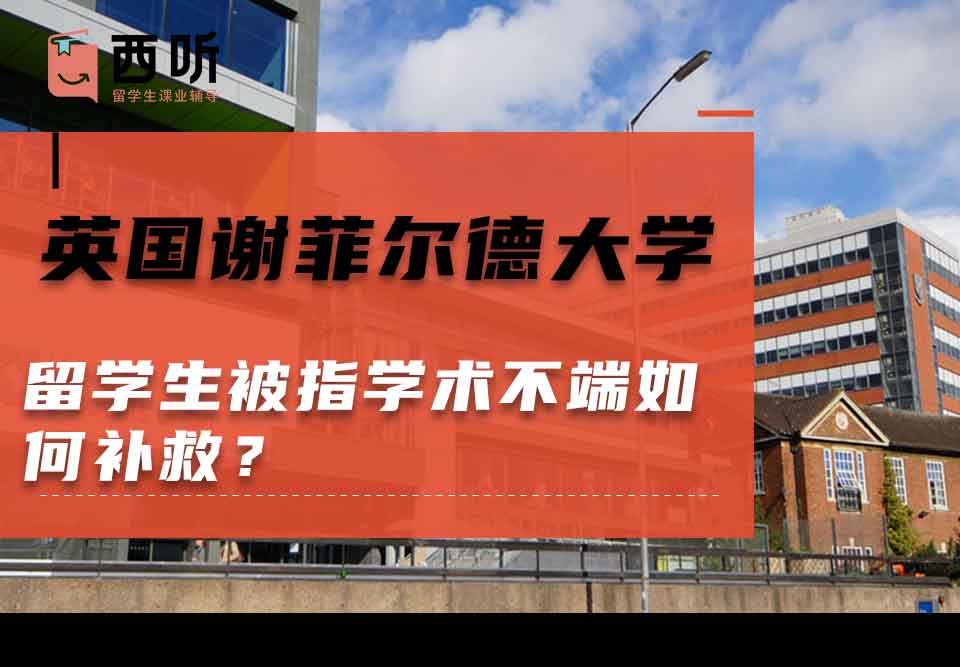 英国谢菲尔德大学留学生被指学术不端如何补救？
